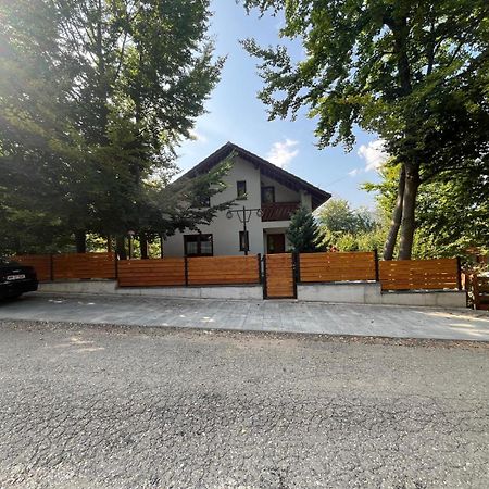 Casa De Vacanta Mogosa Baia-Sprie Exteriér fotografie