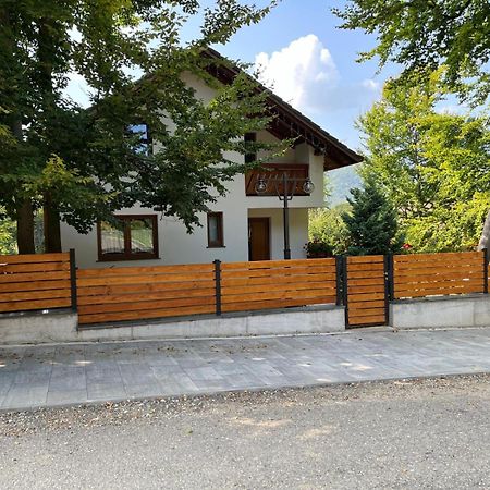 Casa De Vacanta Mogosa Baia-Sprie Exteriér fotografie