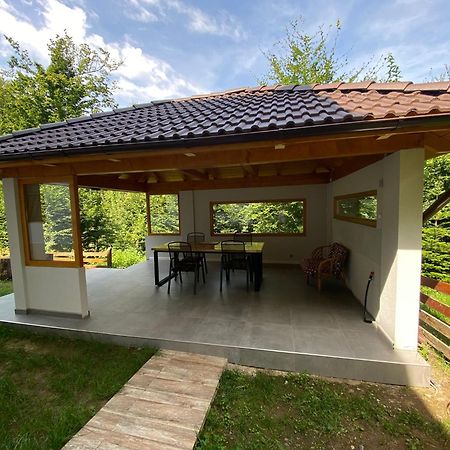 Casa De Vacanta Mogosa Baia-Sprie Exteriér fotografie