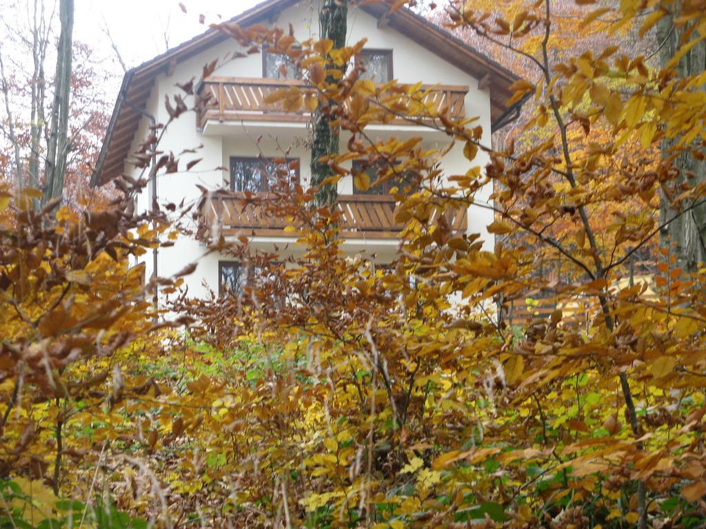 Casa De Vacanta Mogosa Baia-Sprie Exteriér fotografie