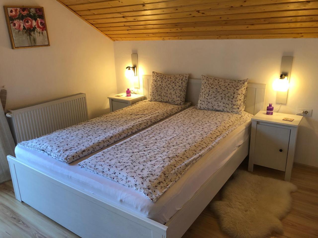 Casa De Vacanta Mogosa Baia-Sprie Exteriér fotografie