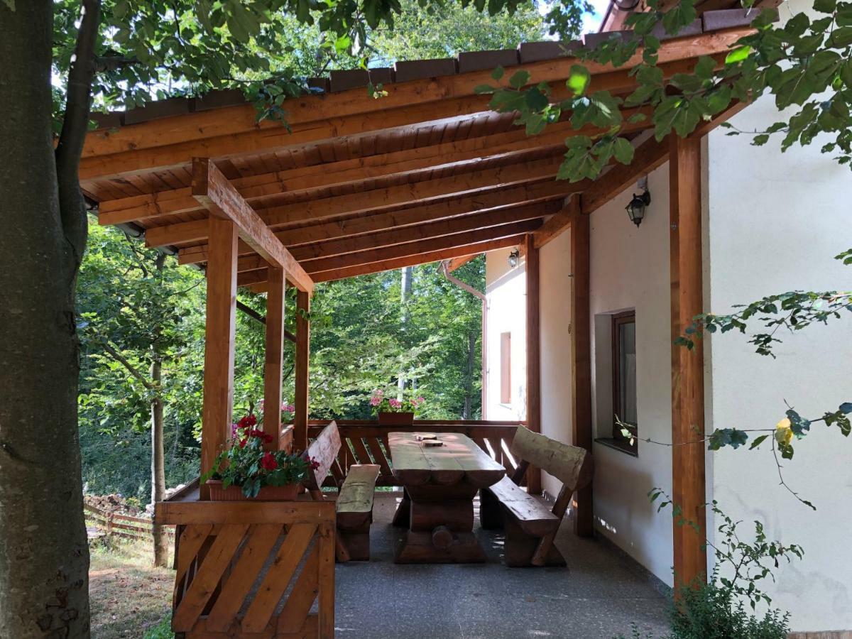 Casa De Vacanta Mogosa Baia-Sprie Exteriér fotografie