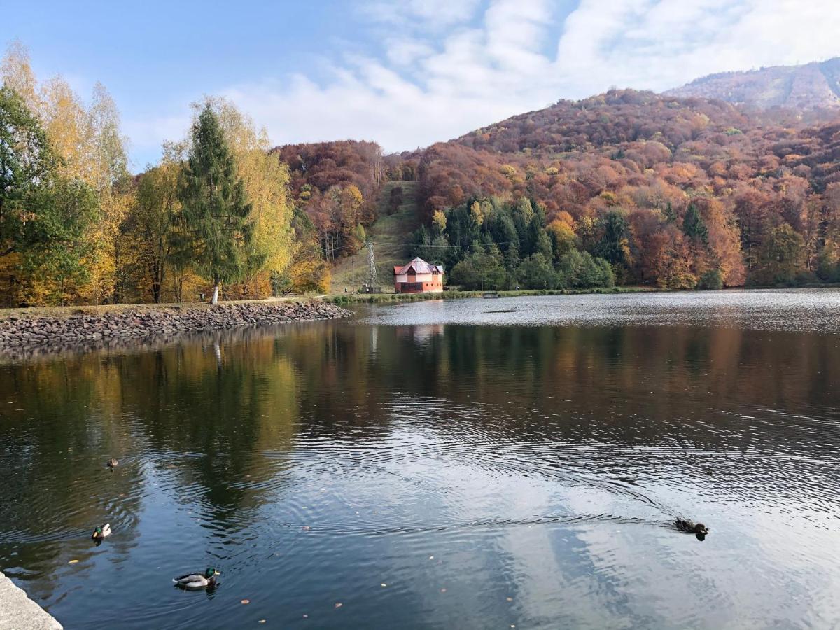 Casa De Vacanta Mogosa Baia-Sprie Exteriér fotografie